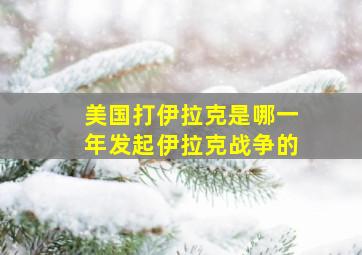 美国打伊拉克是哪一年发起伊拉克战争的