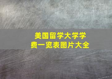 美国留学大学学费一览表图片大全