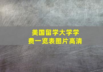 美国留学大学学费一览表图片高清