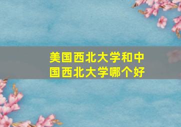 美国西北大学和中国西北大学哪个好