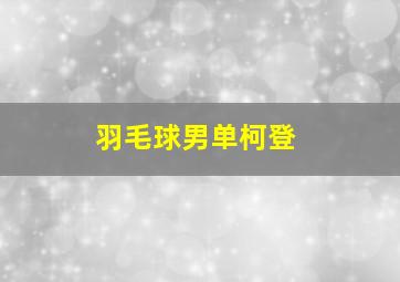 羽毛球男单柯登