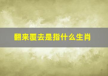 翻来覆去是指什么生肖