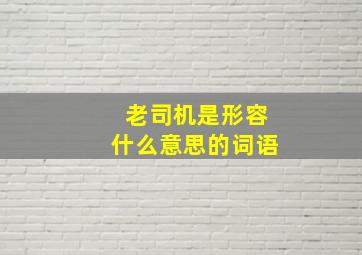 老司机是形容什么意思的词语