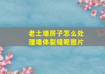 老土墙房子怎么处理墙体裂缝呢图片