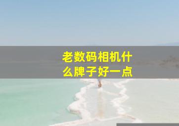 老数码相机什么牌子好一点