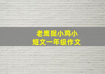 老鹰捉小鸡小短文一年级作文