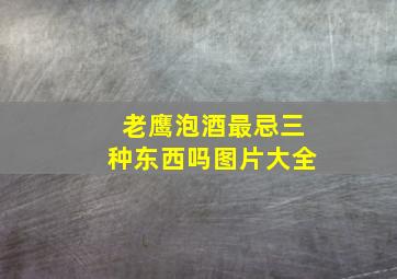 老鹰泡酒最忌三种东西吗图片大全