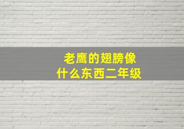 老鹰的翅膀像什么东西二年级