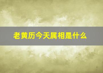 老黄历今天属相是什么