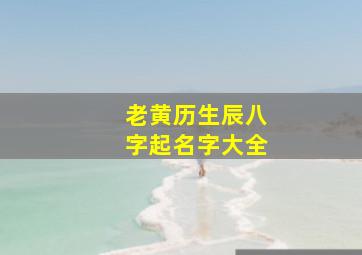 老黄历生辰八字起名字大全