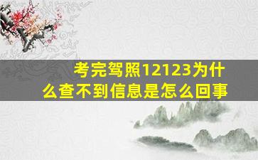 考完驾照12123为什么查不到信息是怎么回事