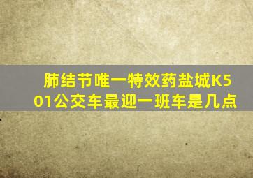 肺结节唯一特效药盐城K501公交车最迎一班车是几点