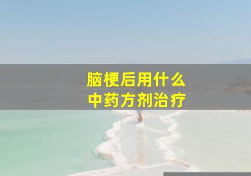 脑梗后用什么中药方剂治疗