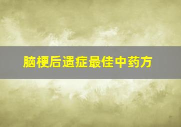 脑梗后遗症最佳中药方