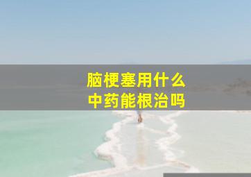 脑梗塞用什么中药能根治吗