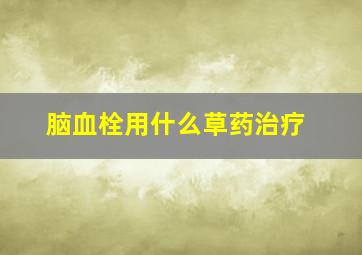 脑血栓用什么草药治疗