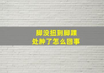 脚没扭到脚踝处肿了怎么回事