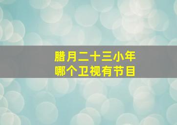 腊月二十三小年哪个卫视有节目