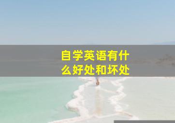 自学英语有什么好处和坏处