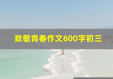 致敬青春作文600字初三