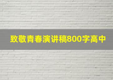 致敬青春演讲稿800字高中