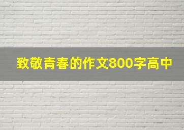 致敬青春的作文800字高中