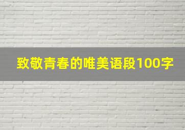 致敬青春的唯美语段100字