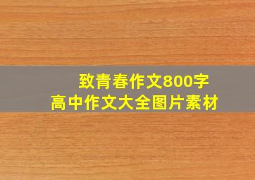 致青春作文800字高中作文大全图片素材