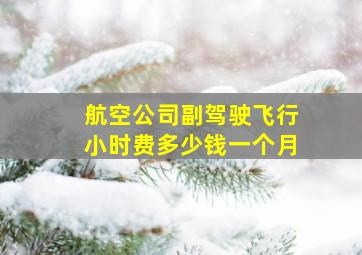 航空公司副驾驶飞行小时费多少钱一个月