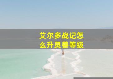 艾尔多战记怎么升灵兽等级