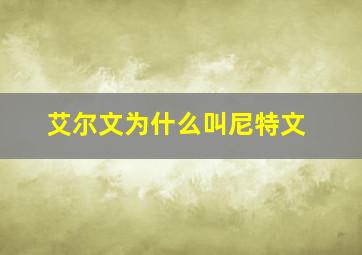 艾尔文为什么叫尼特文