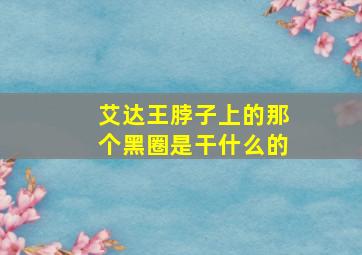 艾达王脖子上的那个黑圈是干什么的