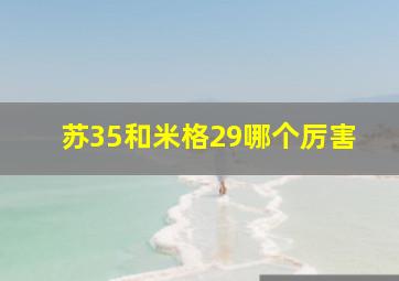 苏35和米格29哪个厉害