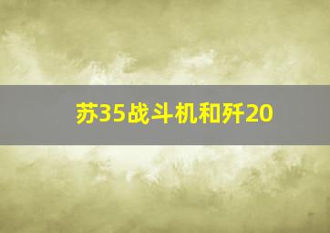 苏35战斗机和歼20