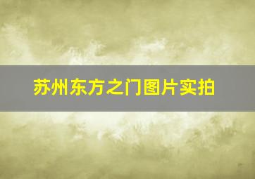 苏州东方之门图片实拍