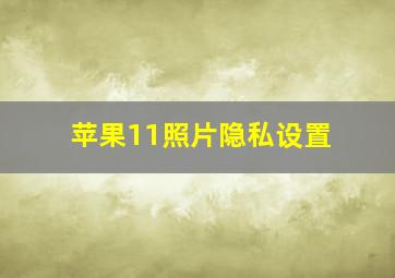 苹果11照片隐私设置