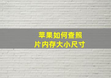 苹果如何查照片内存大小尺寸