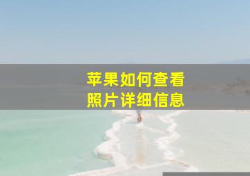 苹果如何查看照片详细信息