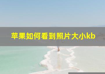 苹果如何看到照片大小kb