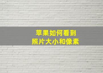 苹果如何看到照片大小和像素