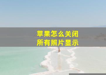 苹果怎么关闭所有照片显示