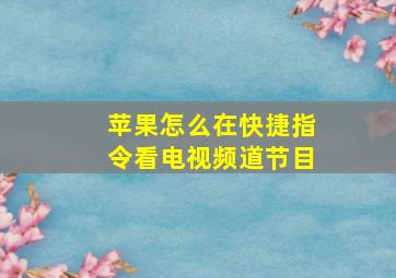 苹果怎么在快捷指令看电视频道节目