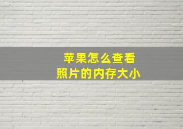 苹果怎么查看照片的内存大小