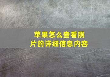 苹果怎么查看照片的详细信息内容