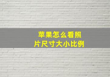 苹果怎么看照片尺寸大小比例