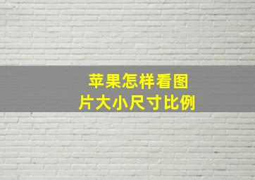 苹果怎样看图片大小尺寸比例