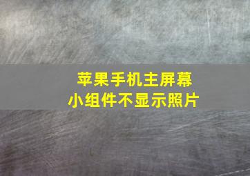 苹果手机主屏幕小组件不显示照片