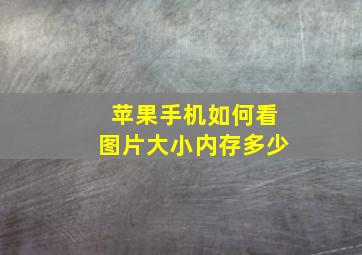 苹果手机如何看图片大小内存多少