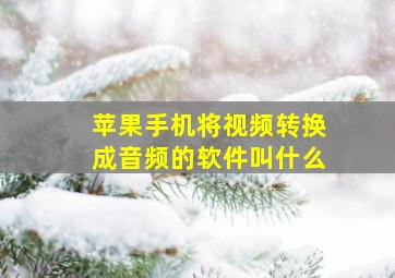 苹果手机将视频转换成音频的软件叫什么