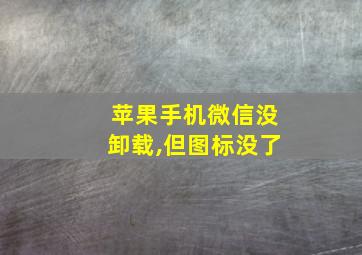 苹果手机微信没卸载,但图标没了